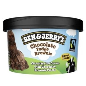 Ben & Jerry Chocolate Fudge Brownie 100ml